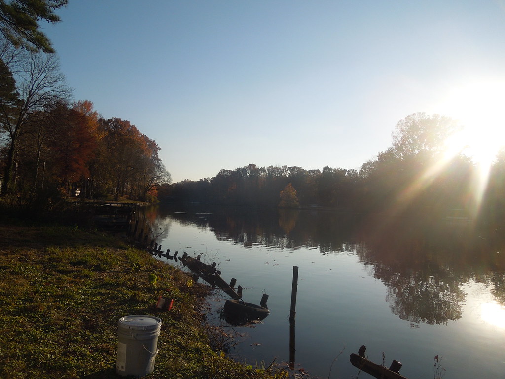 Memphis, TN Coro Lake Richardson Flickr