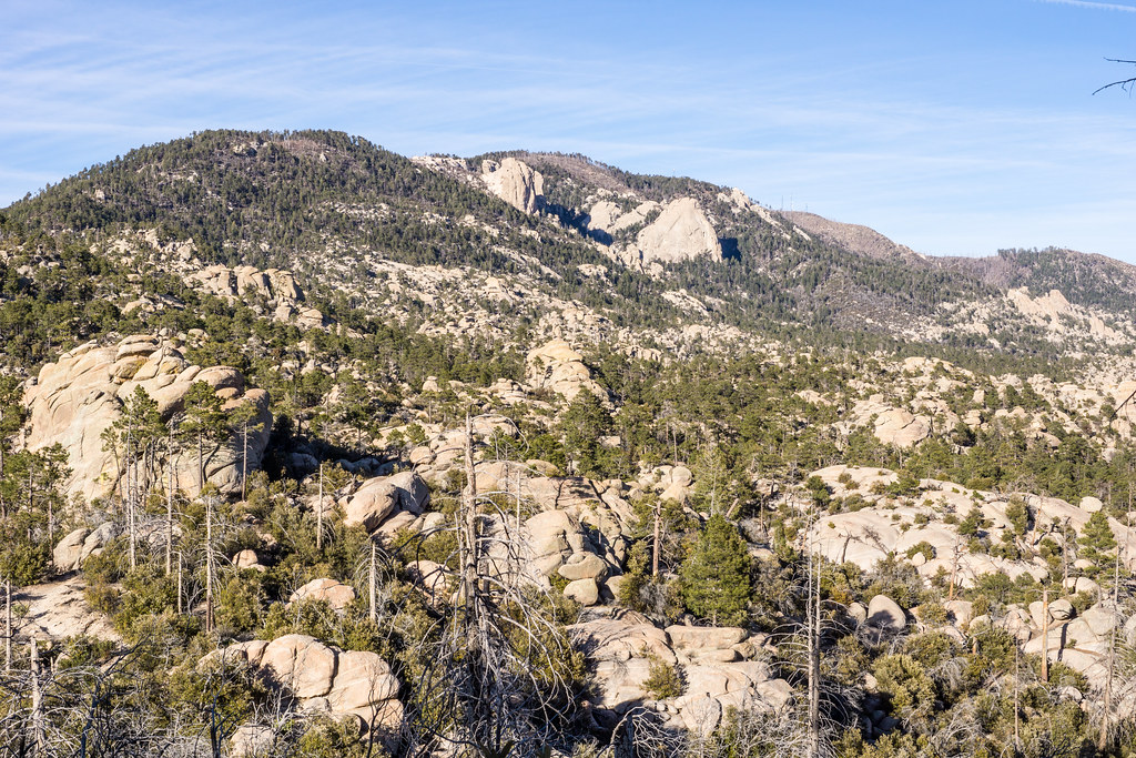 1402 Mount Lemmon from the Mount Lemmon Trail Below the ju… Flickr