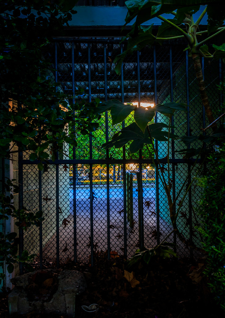 Instagram Matt Flower Flickr