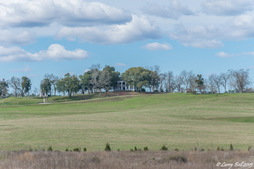 Elevation of Star Ln, Boligee, AL, USA Topographic Map Altitude Map