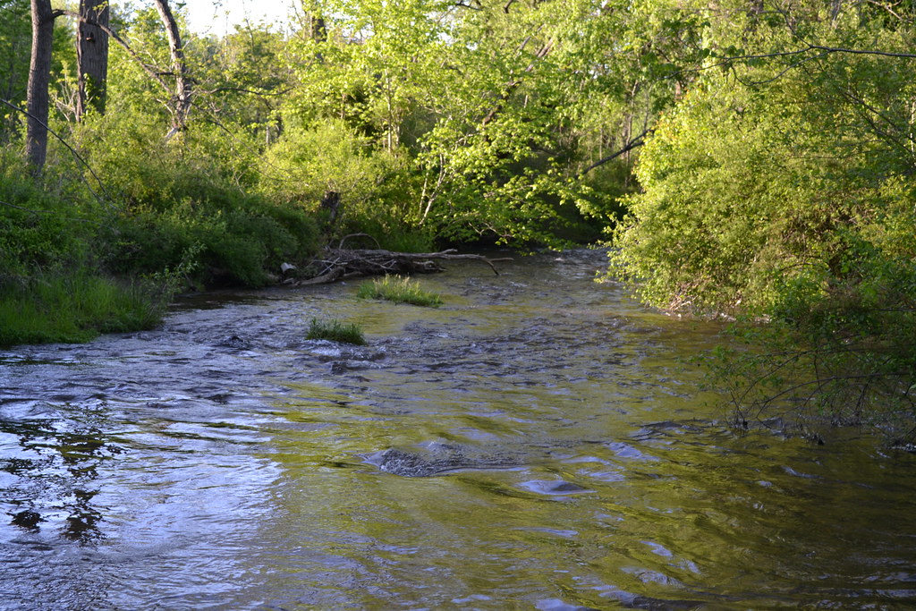 Cullowhee Creek, Jackson County Recreation Complex, Cullow… Flickr