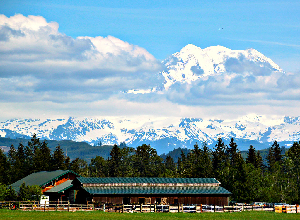 Mt Rainier from Kapowsin So unusual to find such an unobst… Flickr