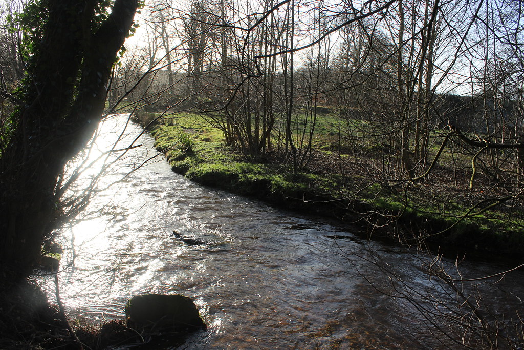 IMG_0319 CoedyGlyn Wood, Wrexham Rebeccawithers Flickr