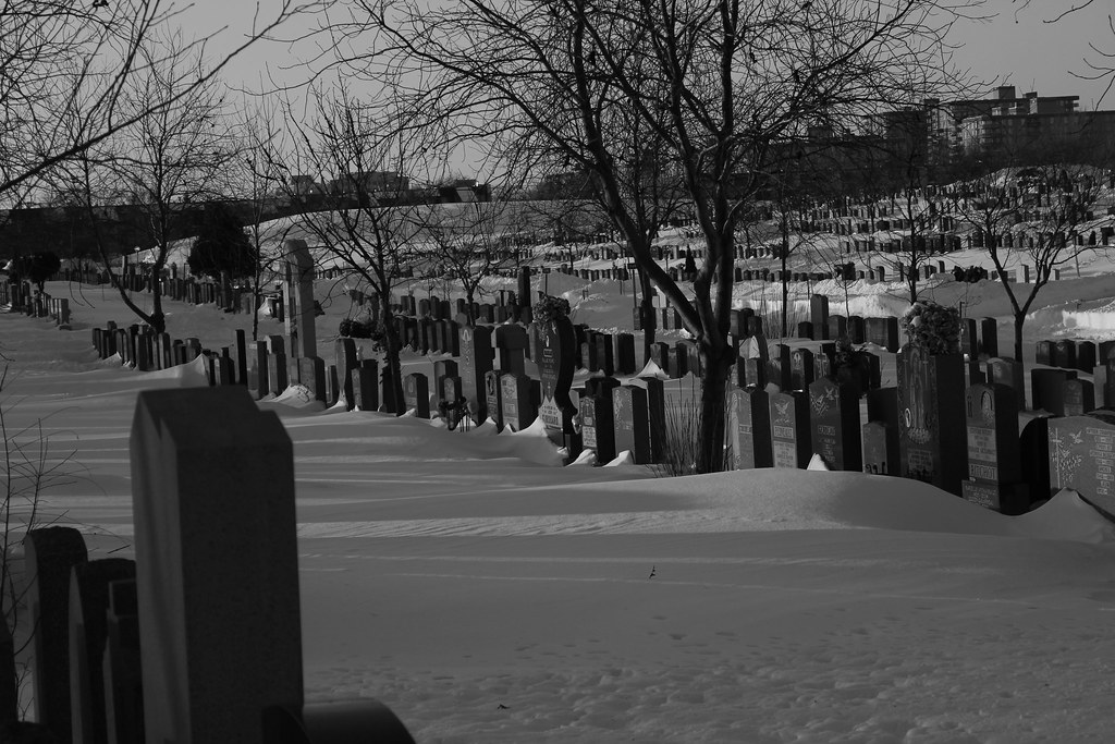 Repos StFrançois d'Assise Cemetery, Montréal 2 de mes gra… Flickr