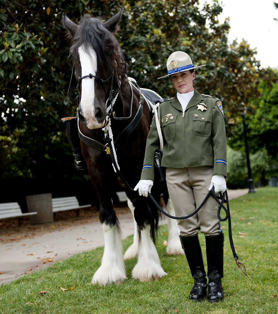 CHP Mounted Enforcement Unit Officer Pictures from the 201… Flickr