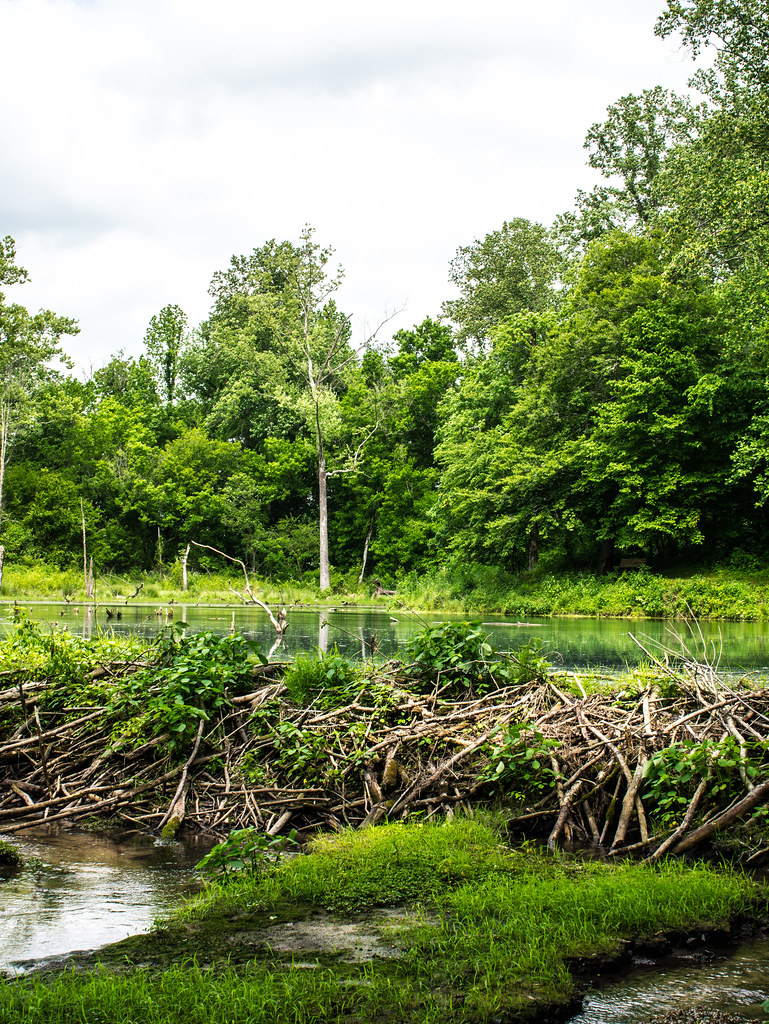 Beaver Dam Rock Spring Pond Joe Rogers Flickr