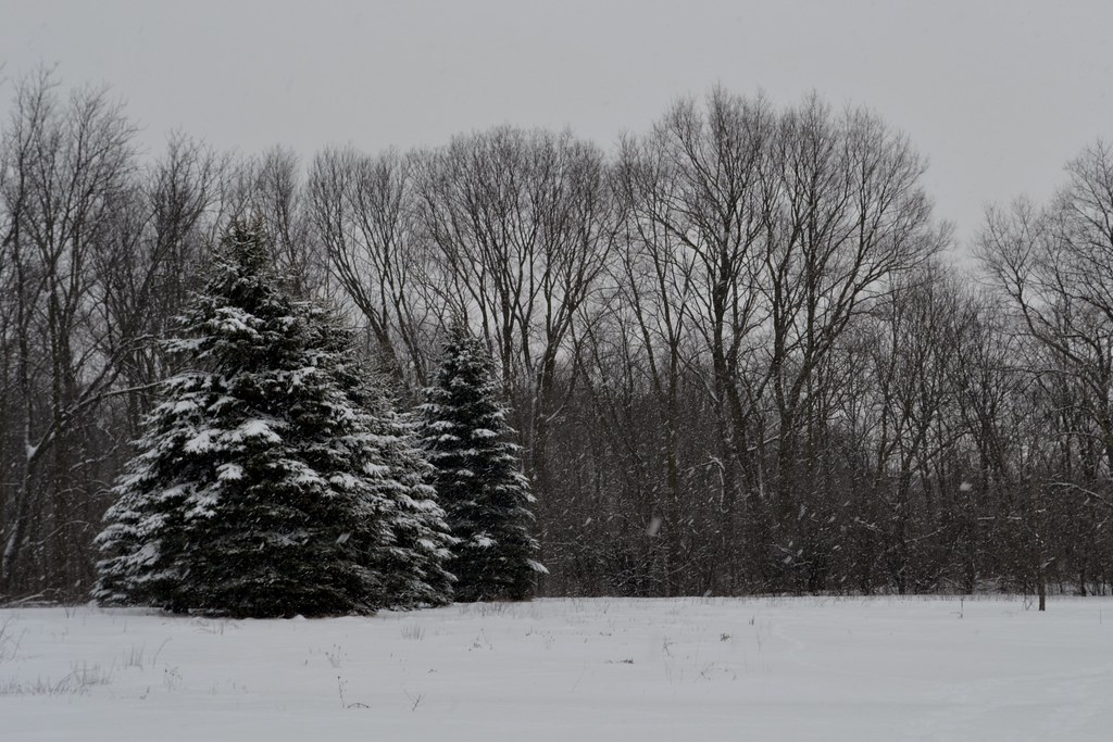 snowstorm Palmer Park Janesville, WI last good snowfall … Flickr