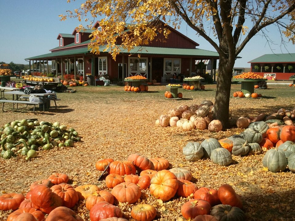 Farm FAll Harvestville Farm Flickr