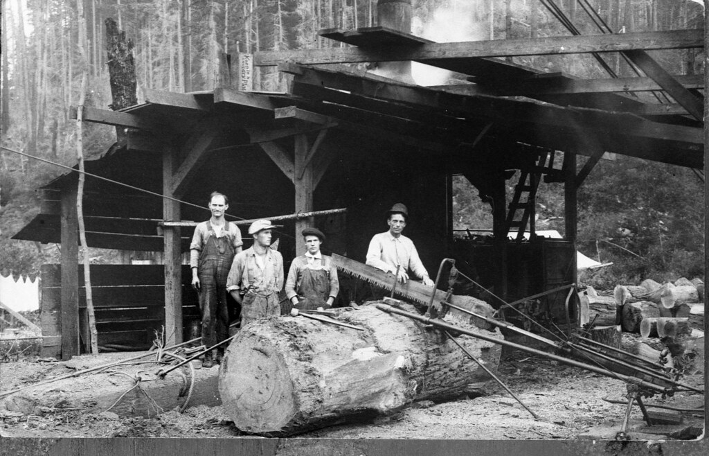 Coburg Oregon Logging in the Coburg Hills curtis Irish Flickr