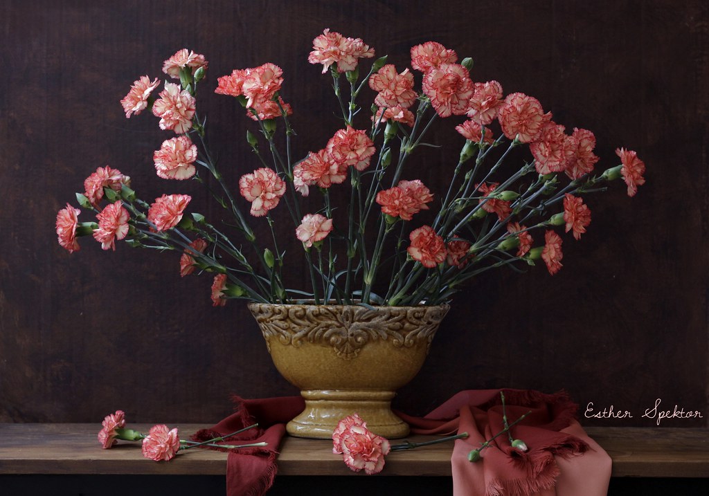 Carnation Reincarnation “Of all the flowers from a rose to… Flickr