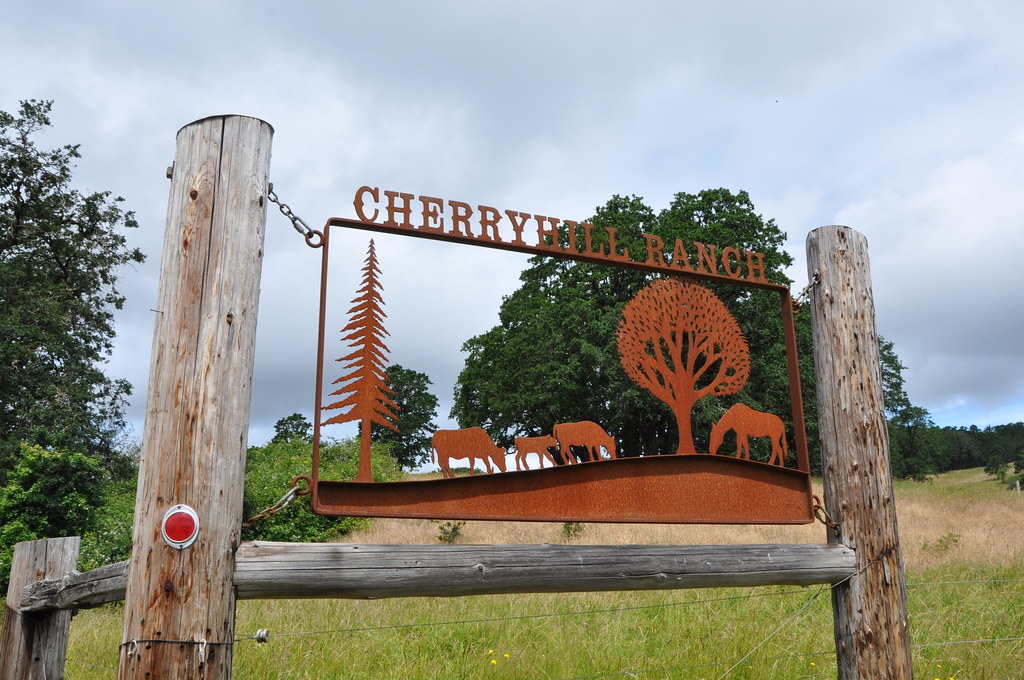 Yamhill County Rancher Restores Native Oregon White Oak Ha… Flickr