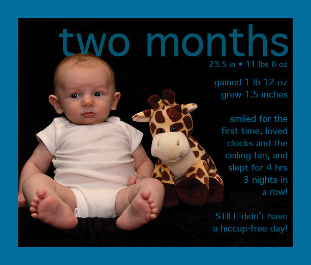 1 Month by the Numbers side of Fryes