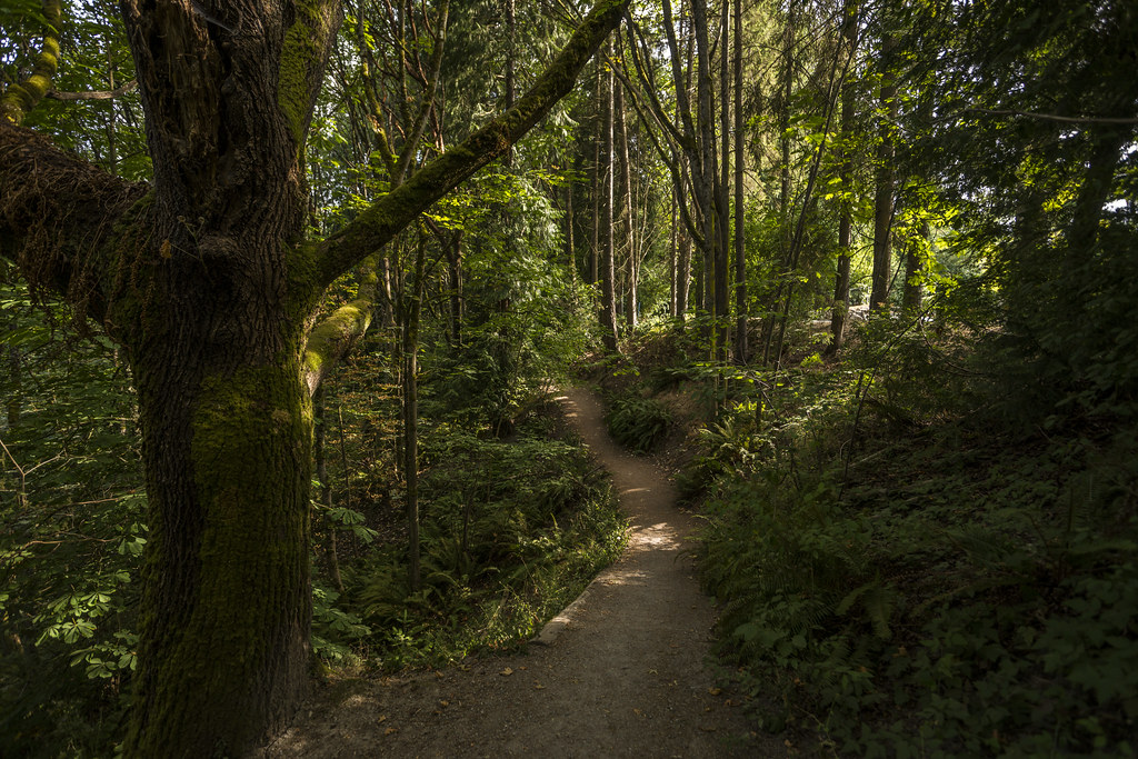 Interlaken Park Photos by TIA International Photography Seattle