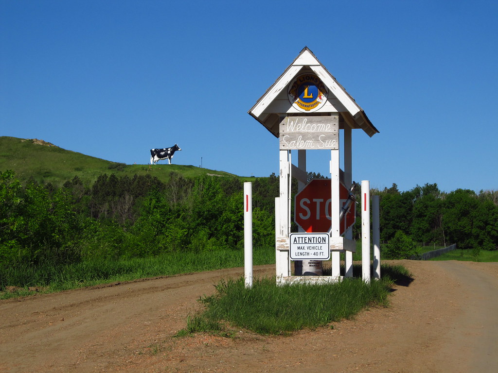 Salem Sue Located in New Salem, North Dakota, on a hilltop… Flickr