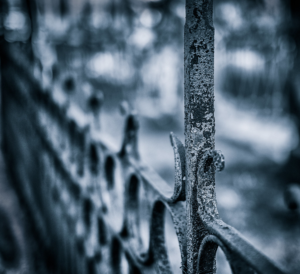 Iron Fence Blog // tortured… Flickr