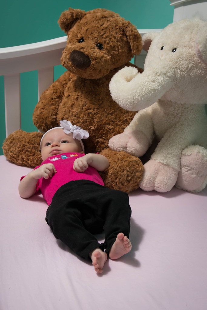 Cassidy Week 10 lehman.brad Flickr