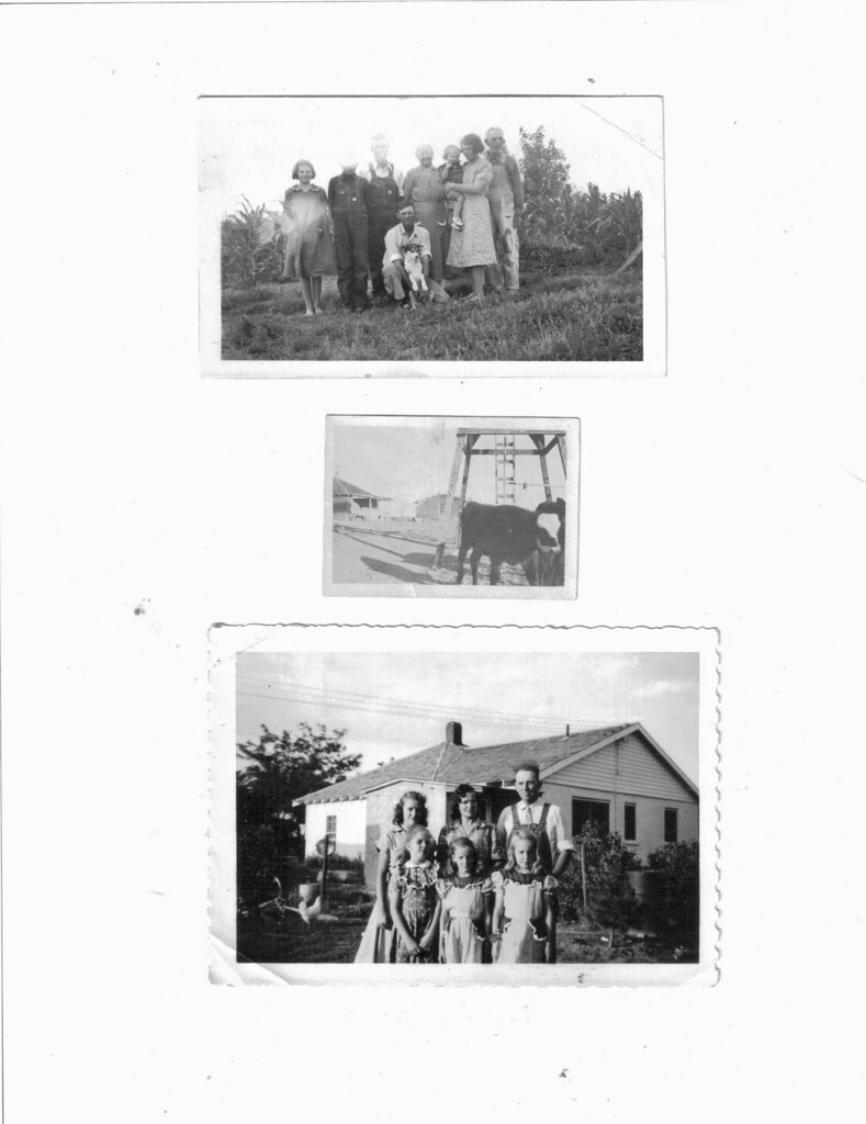 Old Hardy Home 18 miles form Haxtun Colorado,111920; Lind… Flickr