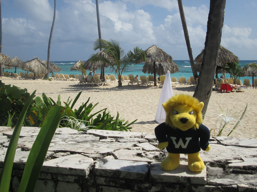 Gorlok in Punta Cana with Brooke Buck ster University Alumni