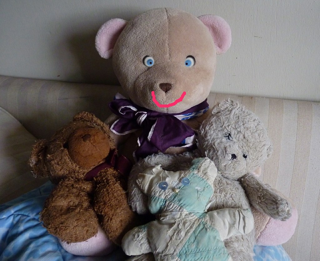 Gladly the CrossEyed Bear for Our Daily Challenge topic … Flickr