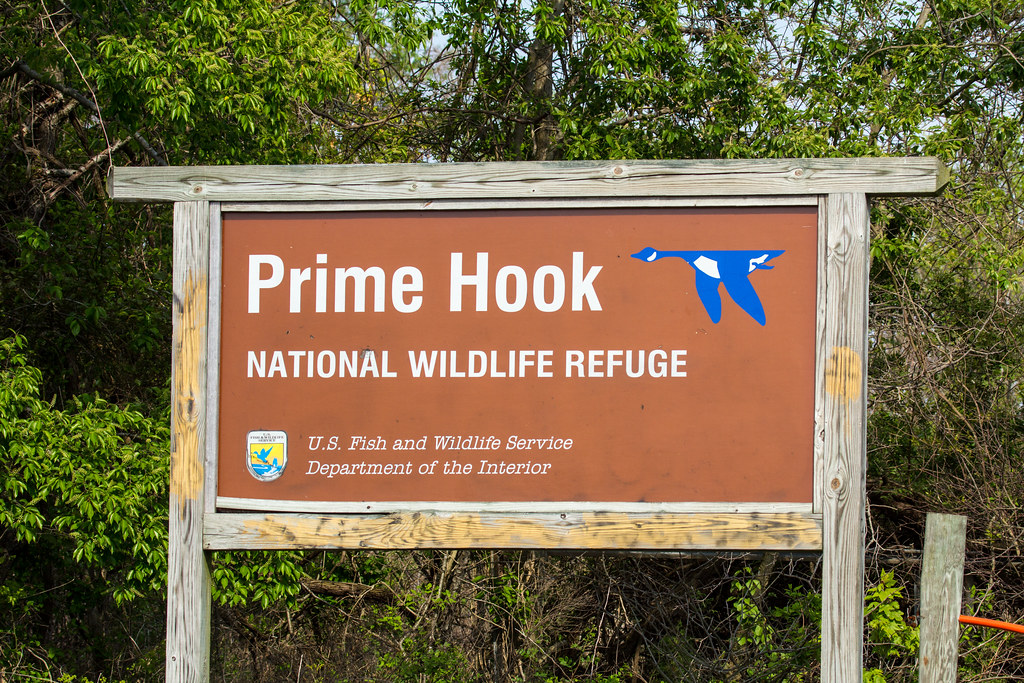 Prime Hook National Wildlife Refuge Delaware Conservation … Flickr