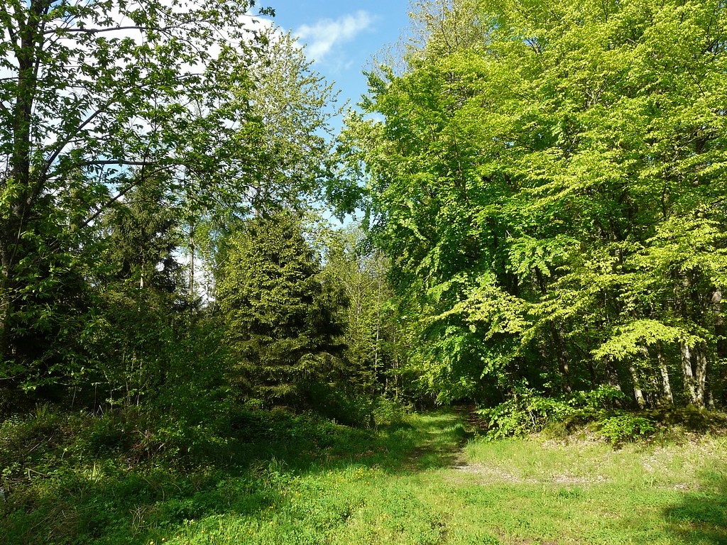 Chemin des Allemands à Senuc mai 2013 patetflo08 Flickr