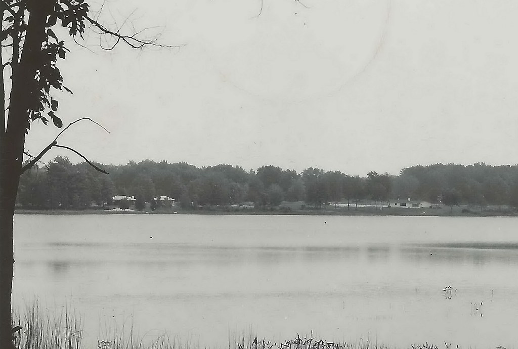 CEN Newaygo Bitley Woodland Park MI RPPC 1950s ATodd Lake… Flickr