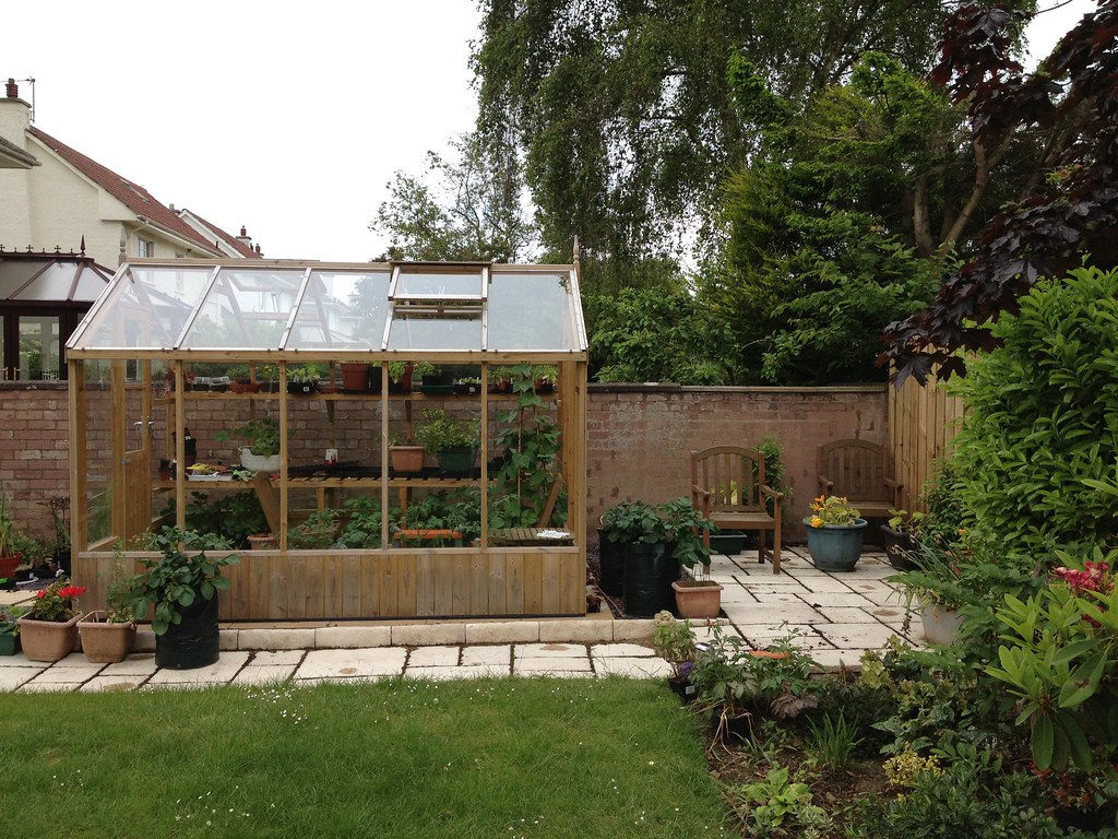 IMG_0378 Pollock Flickr