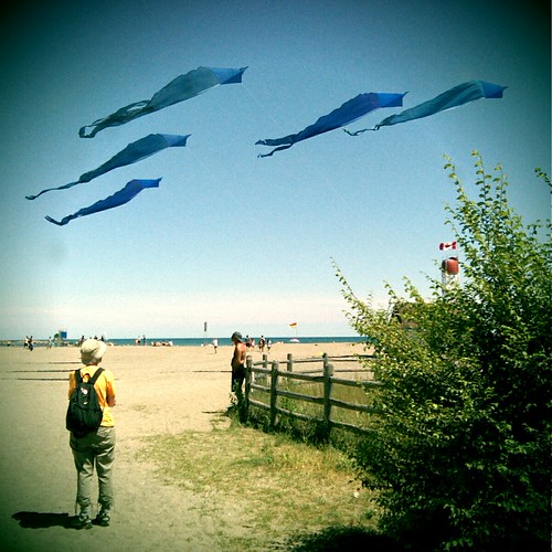 Blue Kites, Beaches Park Michael Greco Flickr