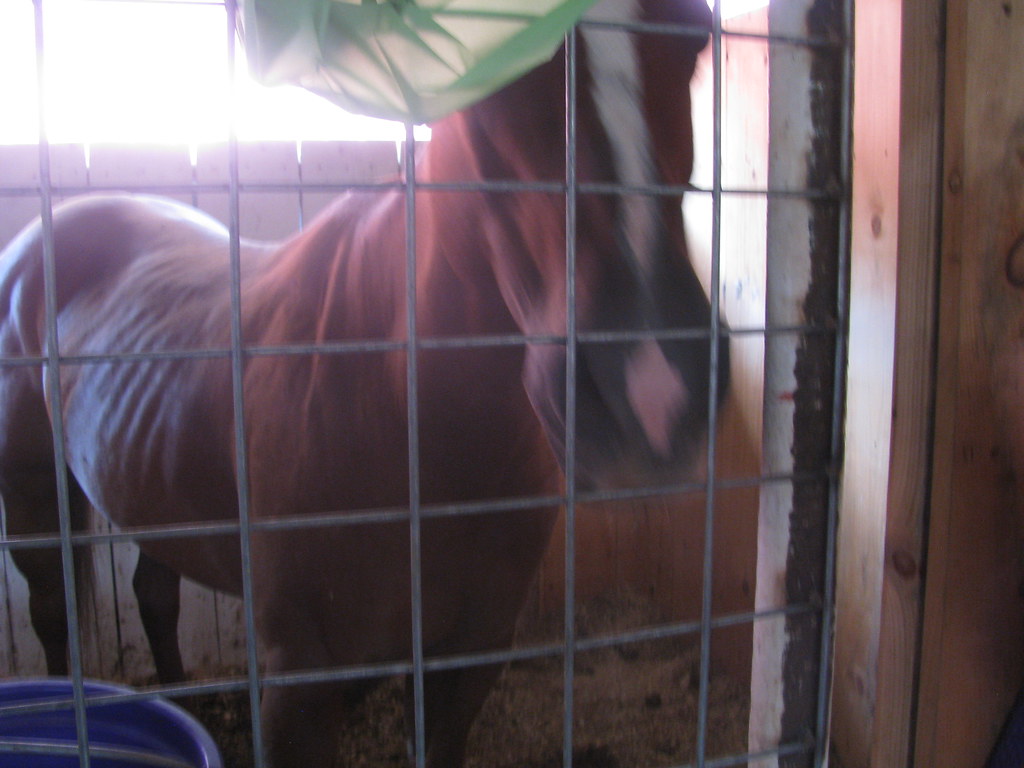 McKean County Fair In Smethport, PA William Wilson Flickr