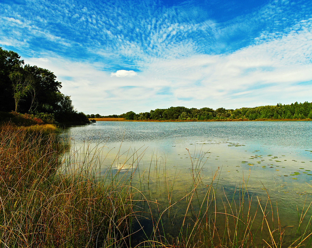 Ennis Lake Muir Park State Natural Area, Marquette Co., WI… Aaron