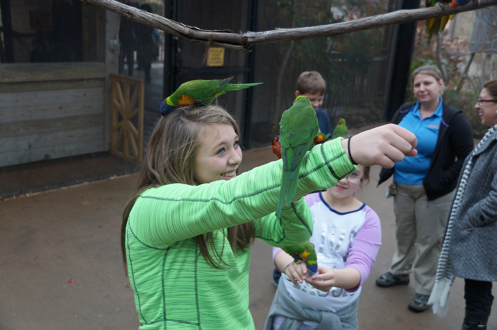 Louisville Zoo Great trip to the Zoo D L Flickr