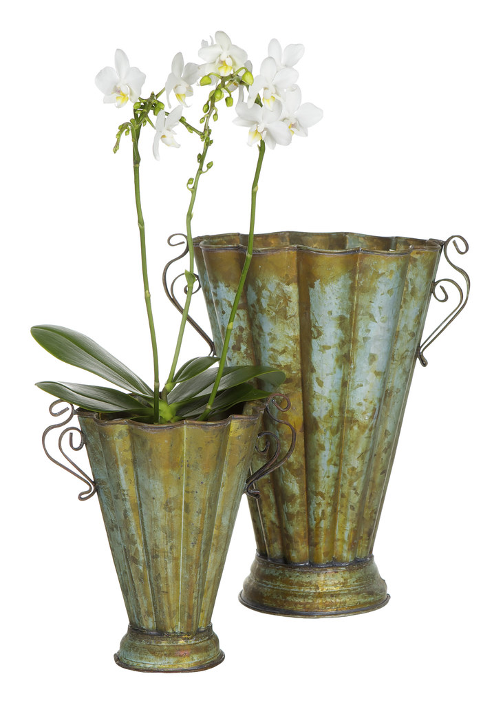 Zinkkruka Blomsterlandet Zinkkruka Höstsortiment 2013 D 28 cm 229 kr D 22 cm 119