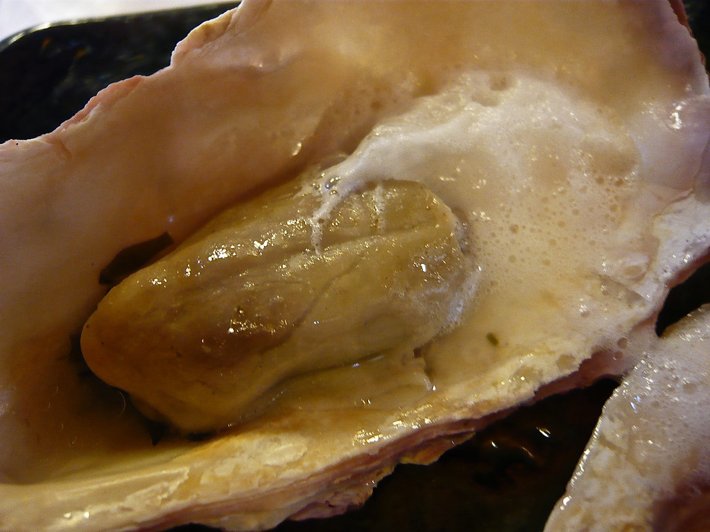 Fat oyster on seaweed with foam WordRidden Flickr