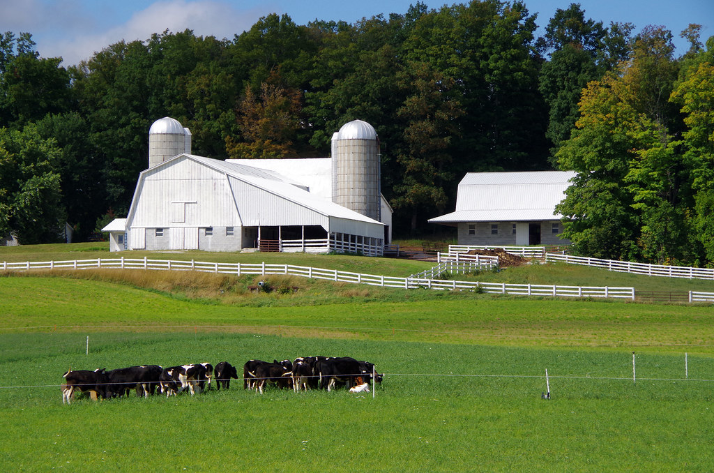 Amish Farm Amish dairy farm near Mio, Michigan. Img 1335c… Jim