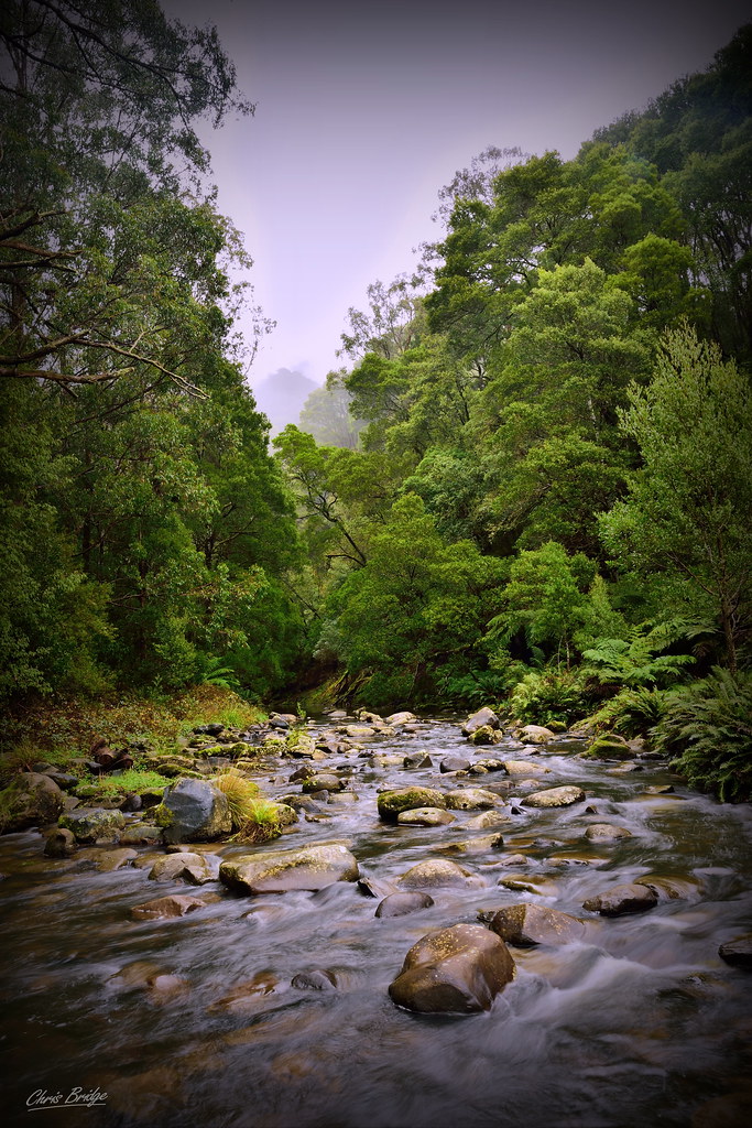 Elevation map of Colac Otway Shire, Colac Otway, VIC, Australia