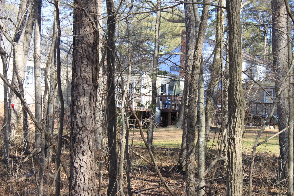 Tuckahoe Creek Flickr