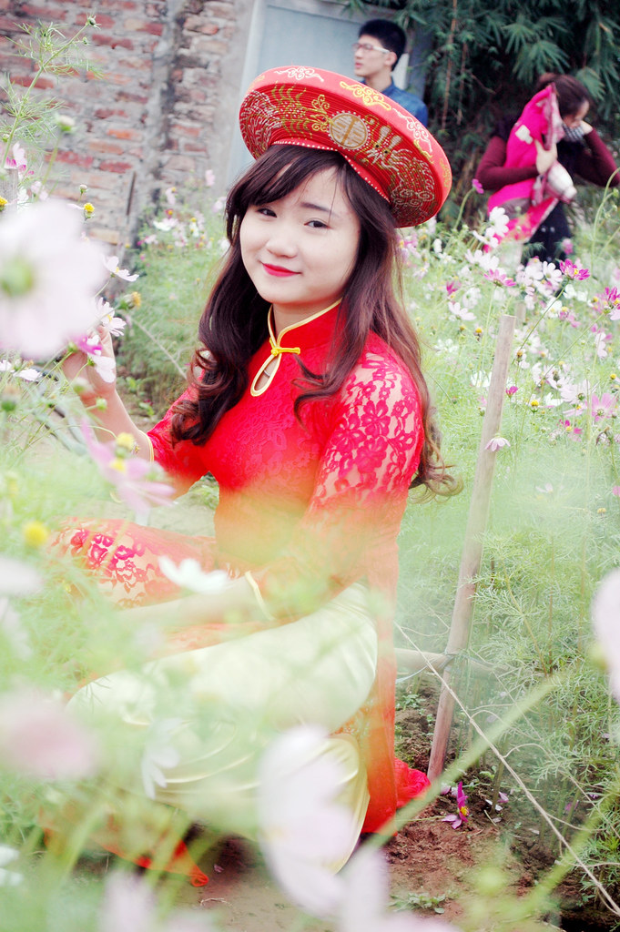 DSC_6467 chinh vu Flickr