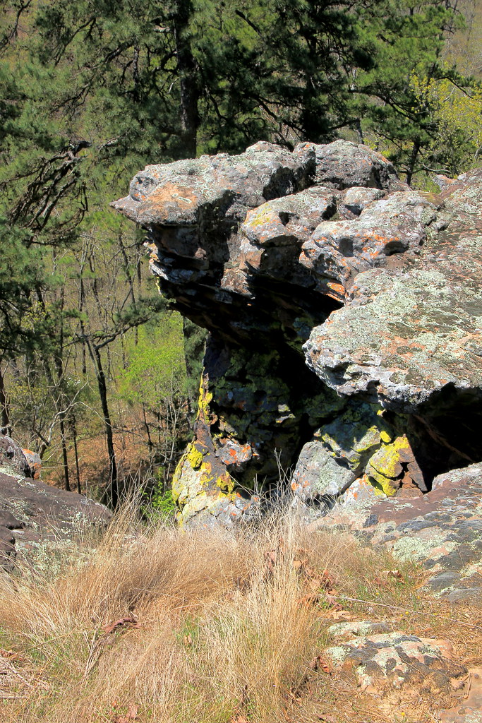 Along King Bluff Loop Trail, Pedestal Rocks Scenic Area … Flickr
