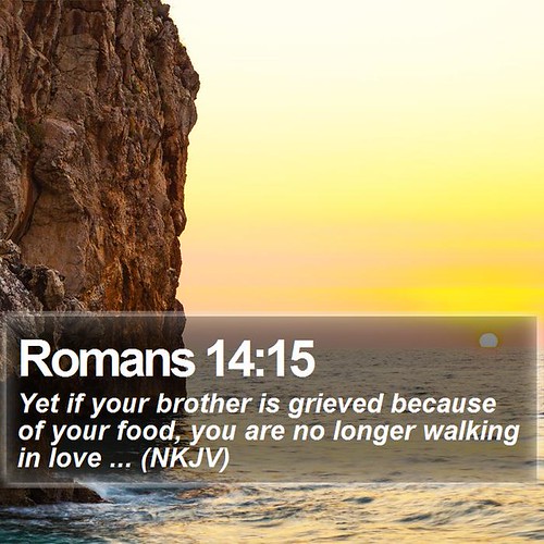 Daily Bible Verse Romans 1415 Romans 1415 Yet if your … Flickr