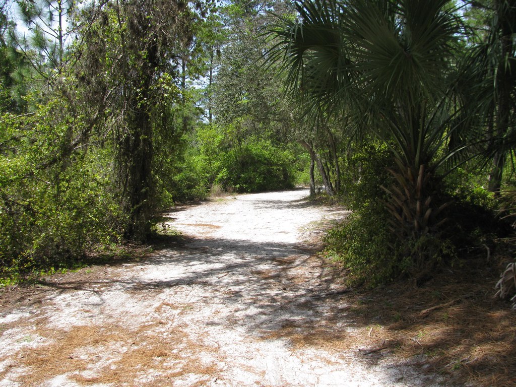 Key Vista Nature Park, Holiday, Florida, USA Key Vista Nat… Flickr