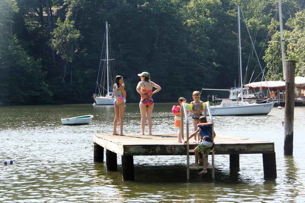 Pines on Severn Juha Uitto Flickr