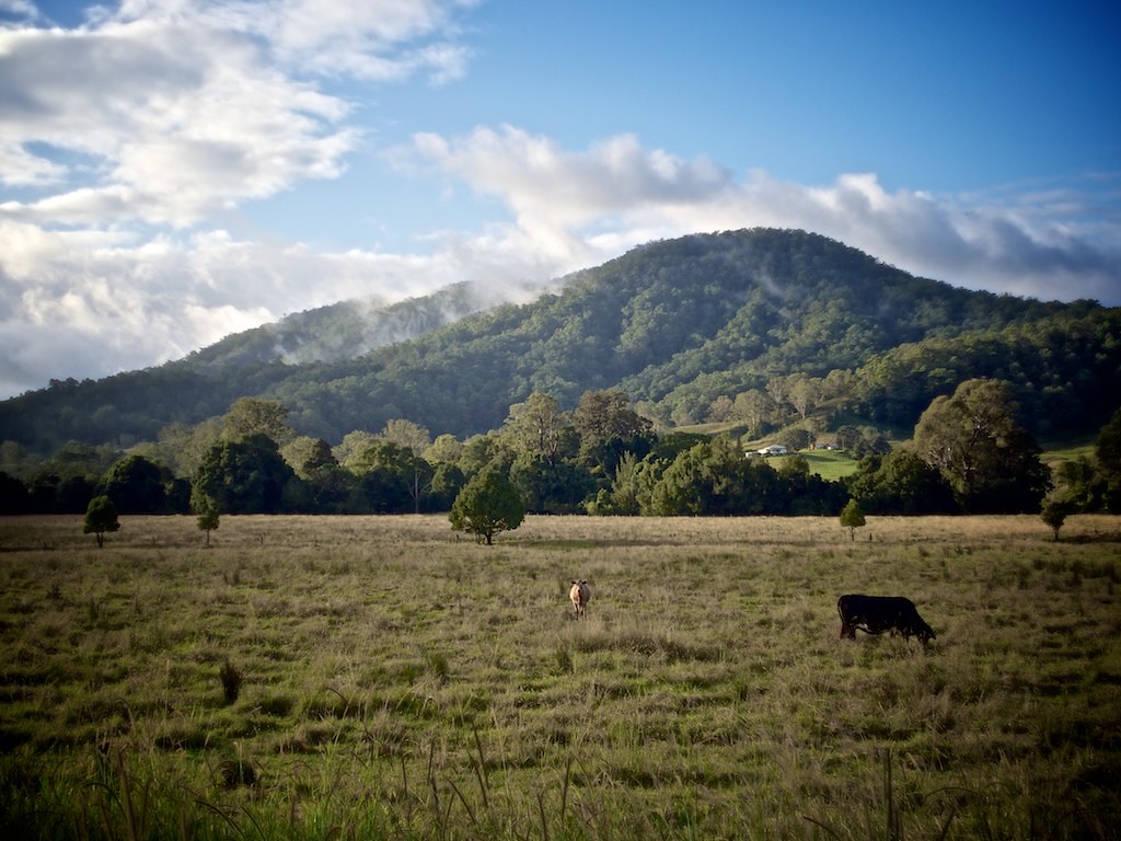 Muckleewee Mountain, Bentley NSW a photo on Flickriver