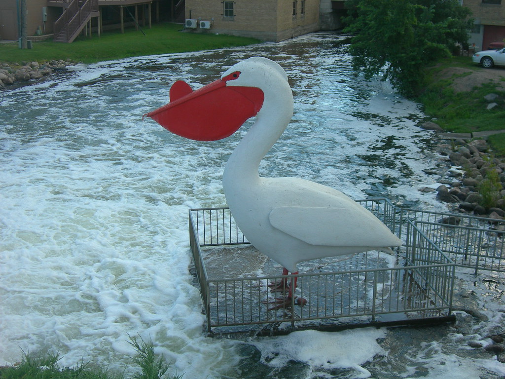 "Pete" the Pelican Pelican Rapids, Minnesota "Pete" stands… Flickr