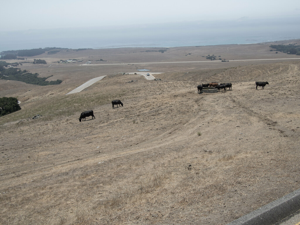 Hearst Ranch Beef Edsel Little Flickr