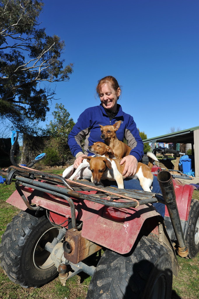 Shattuck_58706, Bronwen's Place, Yass, NSW Steve Shattuck Flickr
