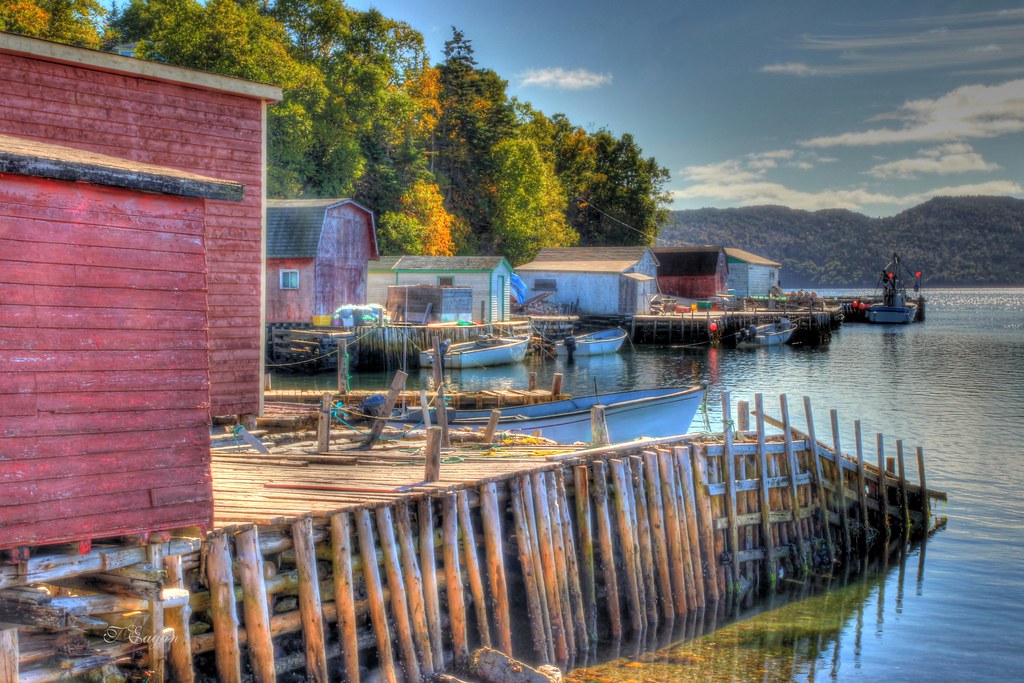 Hickman's Harbour Random Island, Trinity Bay Newfoundland Tom Eagan Flickr