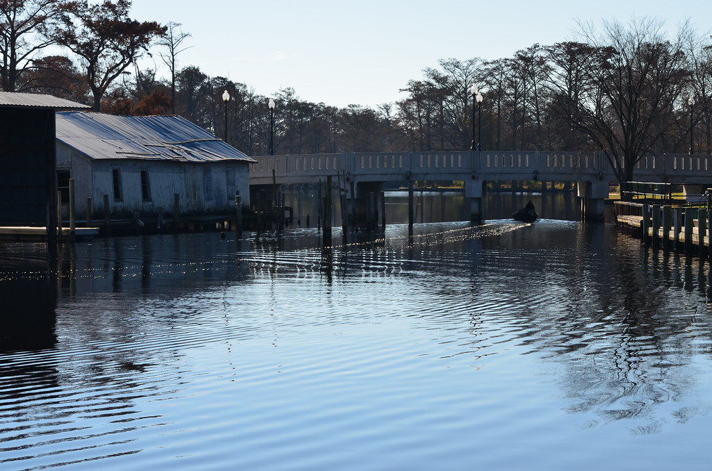 DSC_0257 Waterfront Park Elizabeth City, NC Lotus Flower Flickr