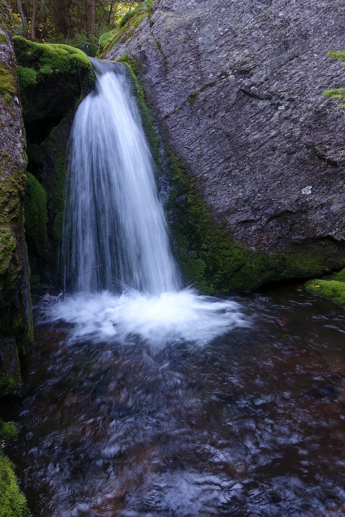 Mossy Fall King Ravine Trail Read more about King Ravine a… Flickr
