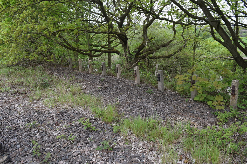 Crigglestone Tunnel, Viaduct and Horbury West Curve. Flickr