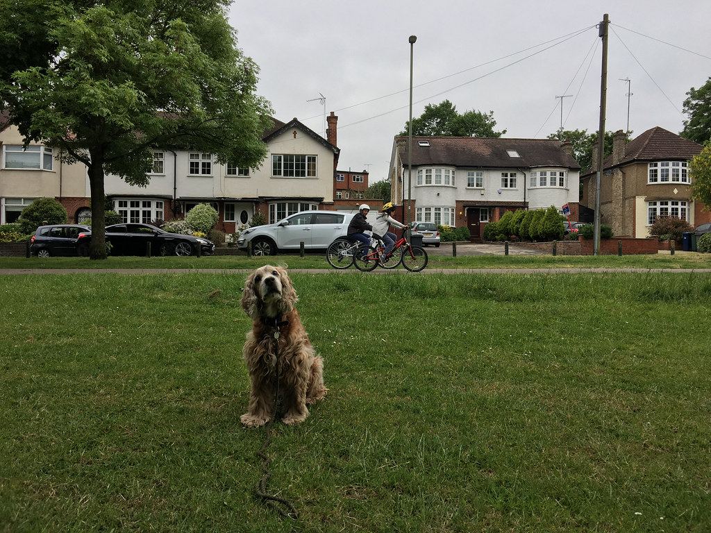 Church Hill Road at Oak Hill Park, East John Keogh Flickr